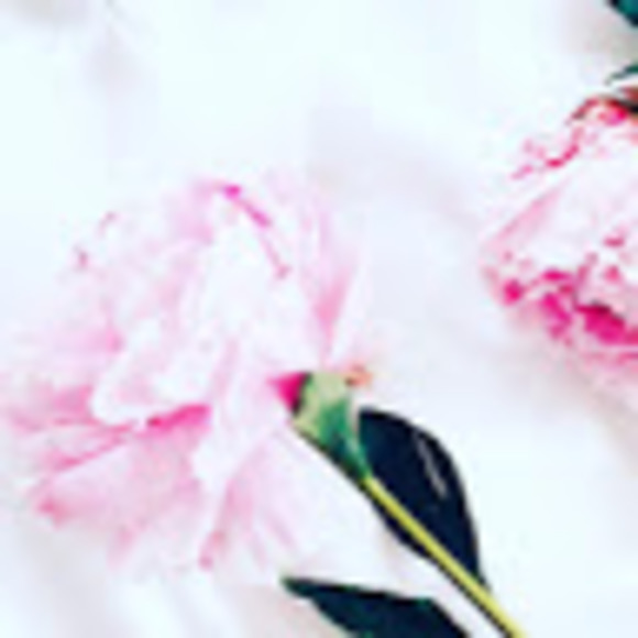 Meet your Posher, Michella - Picture 1 of 1